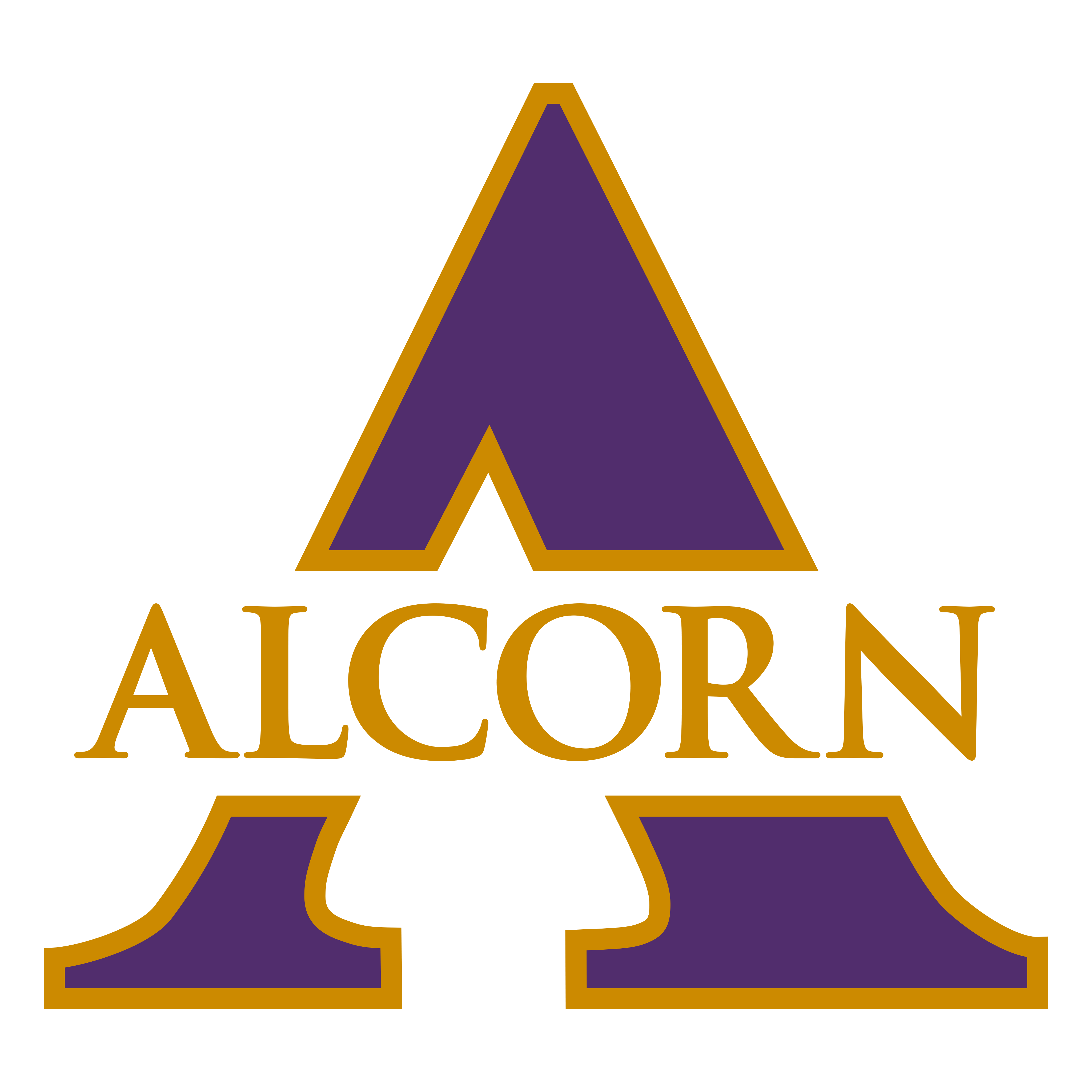 Alcorn State future team