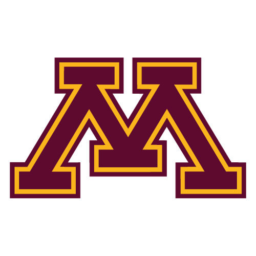 Minnesota future team